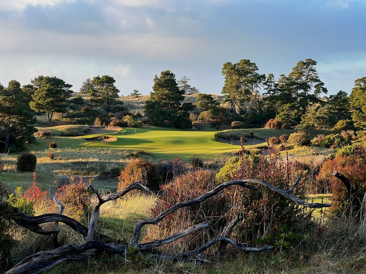 Bandon Trails No. 17 Par 3, 182 yards #BestOfBandon 📸: evdphoto (IG)