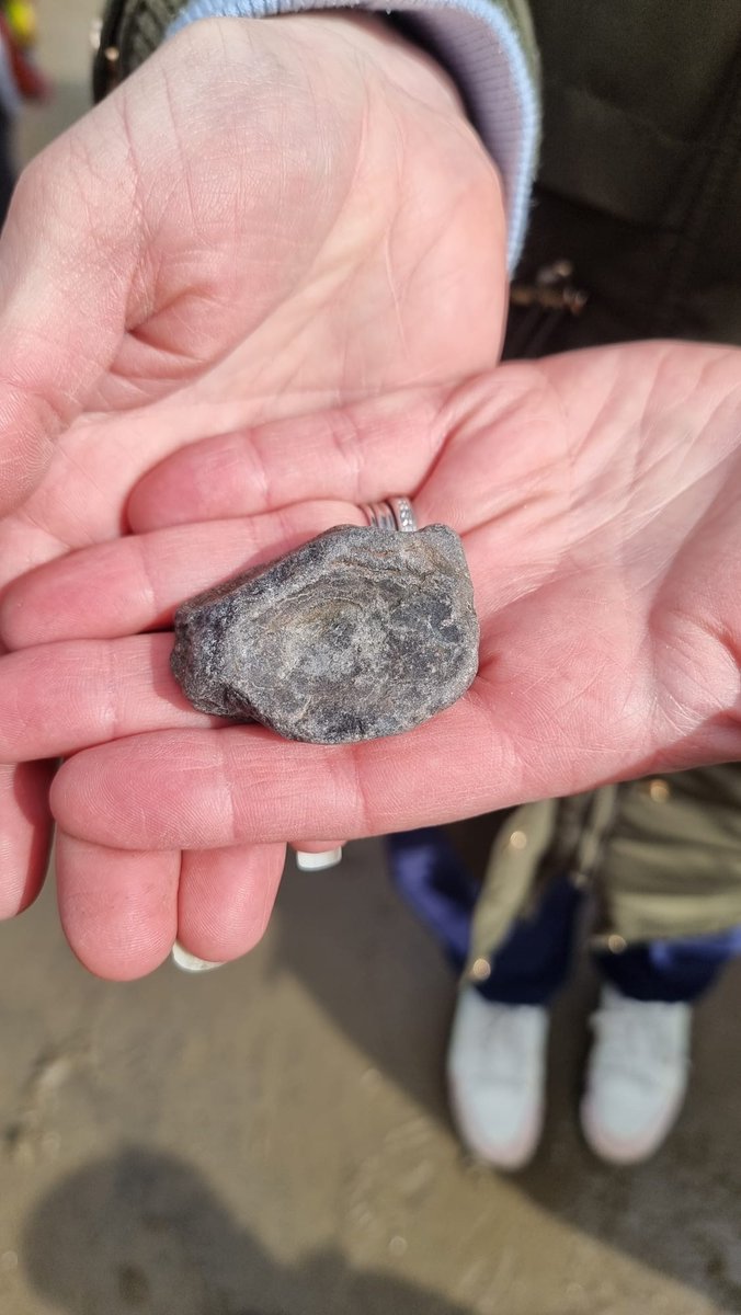 Lyme Regis Museum (@lymeregismuseum) on Twitter photo ๐Our visiting school group were thrilled to find an ichthyosaur vertebra on their Fossil Hunt with our Learning & Engagement Officer <a href="/PalaeoKieran/">Kieran Satchell</a> today! What a great find! Find out more about bringing your group for an educational visit to the Museum via the link in our bio! ๐Our visiting school group were thrilled to find an ichthyosaur vertebra on their Fossil Hunt with our Learning & Engagement Officer <a href="/PalaeoKieran/">Kieran Satchell</a> today! What a great find! Find out more about bringing your group for an educational visit to the Museum via the link in our bio!