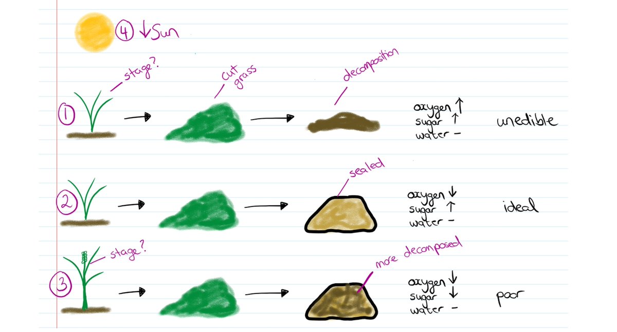 If you are interested in working with us on explaining Ag Science better get in touch - potential Zoom next week. Today we looked at the introduction to grass conservation. Always start with decomposition. Show how we are always trying to slow/stop this process.