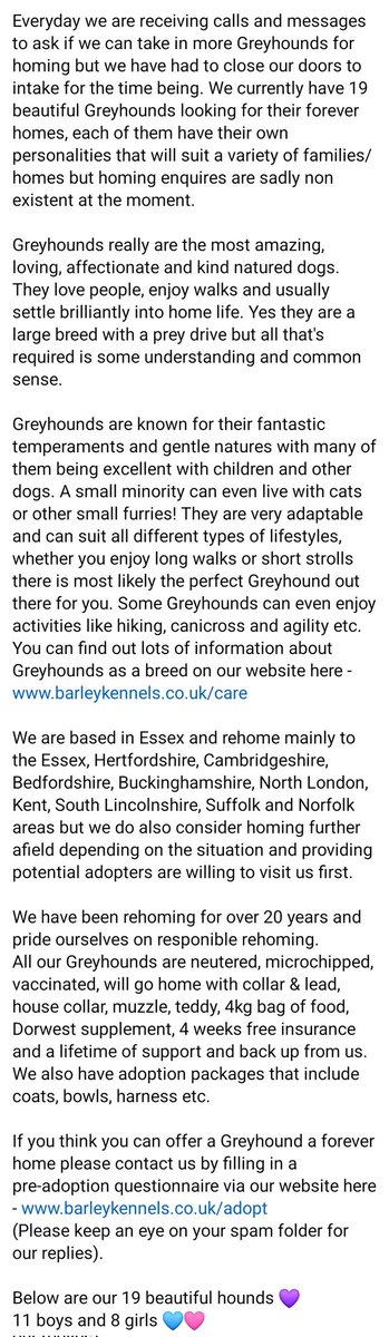 Barley Greyhound Sanctuary tweet media
