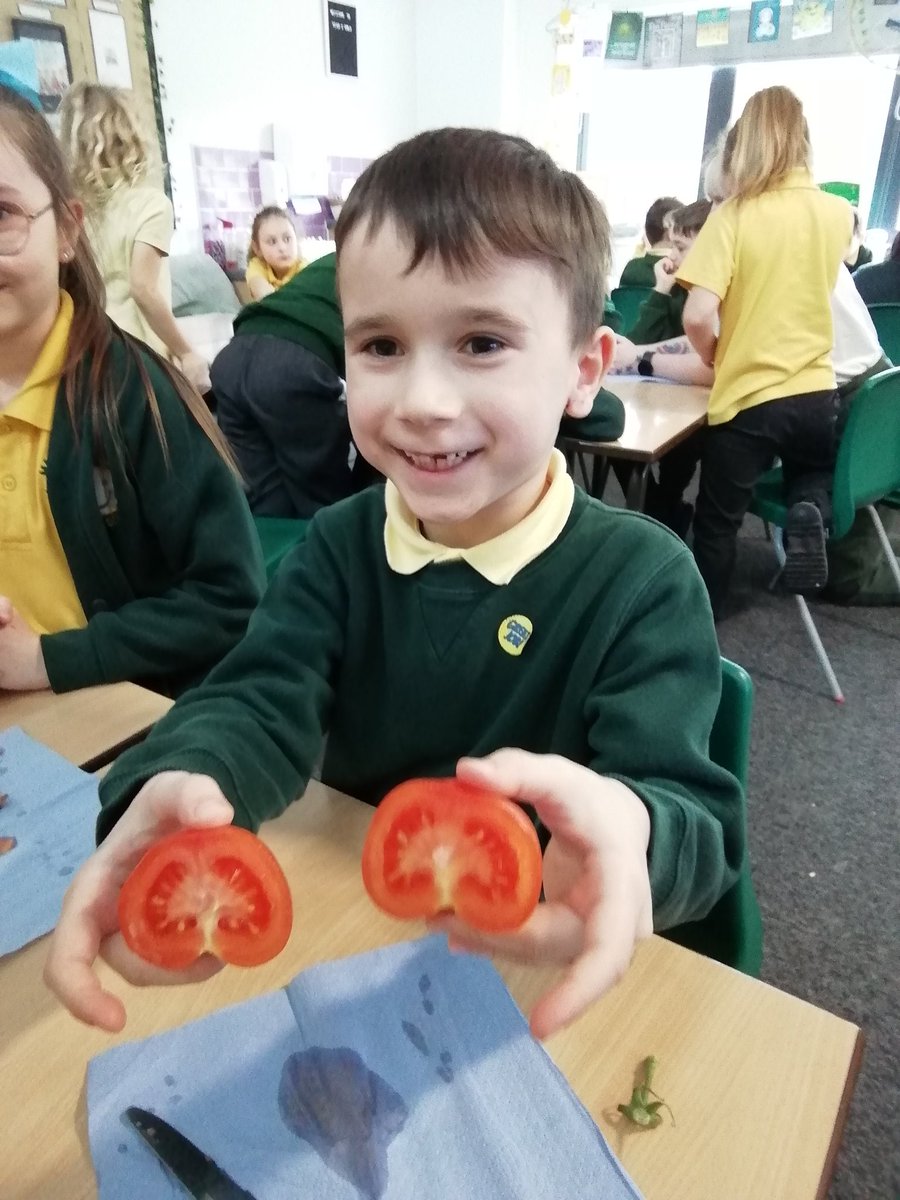 Year2OMG's tweet photo. We discovered that fruits have seeds but vegetables don't! But what happens to seeds when we plant them...? 🤔 https://t.co/kUkZnWMfg1