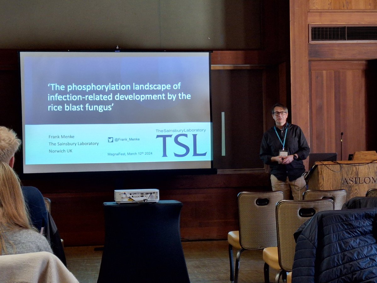 ThorstenLangner's tweet photo. First speaker after the lunch break #magnafest #fungal24 is @Frank_Menke from @TheSainsburyLab talking about the role of phosphorylation during pathogenic development of Magnaporthe https://t.co/41eaMejUFA