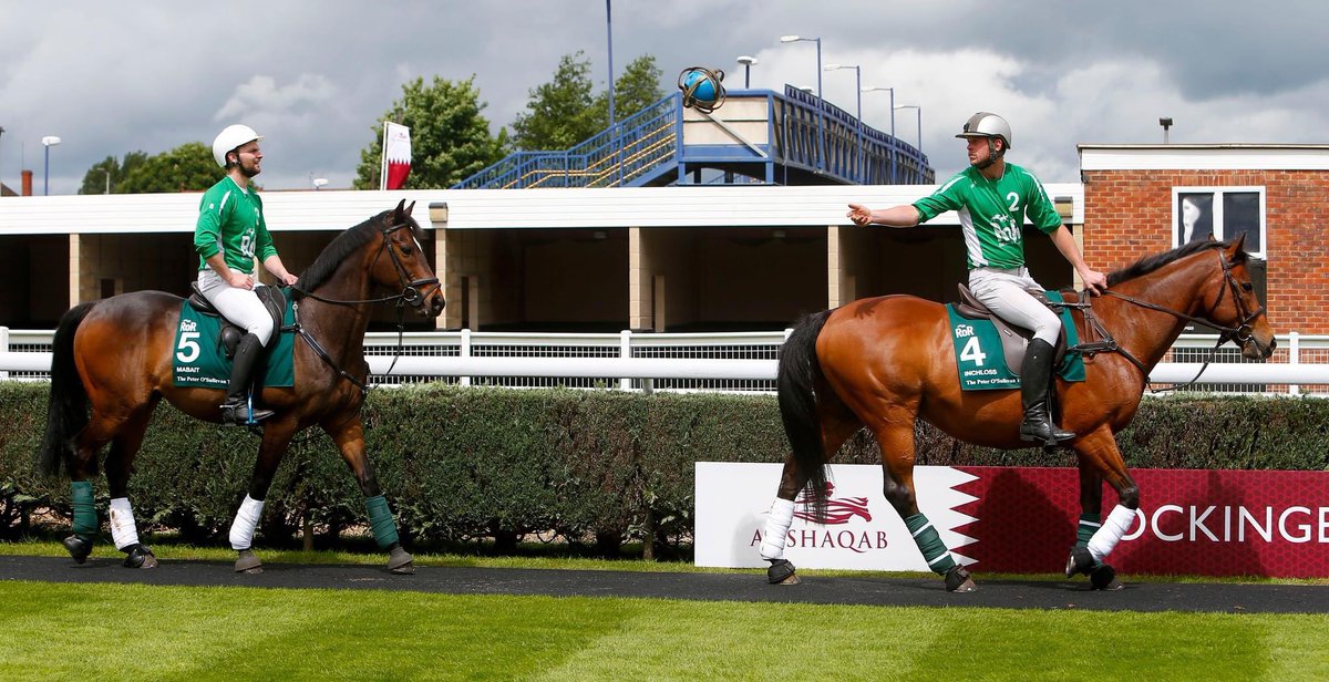 Today marks the beginning of Cheltenham Festival 2024! 🏇
The perfect opportunity to share with you a photo of one of the <a href="/RoRlatest/">RoR</a> Parades, we’ve had the pleasure of being a part of! Ft Mabait 🏇🏻&amp; Inchloss 🏇🏻 Share with us your retrained racehorse photos!🐴⚽️💚🤍 #Horseball