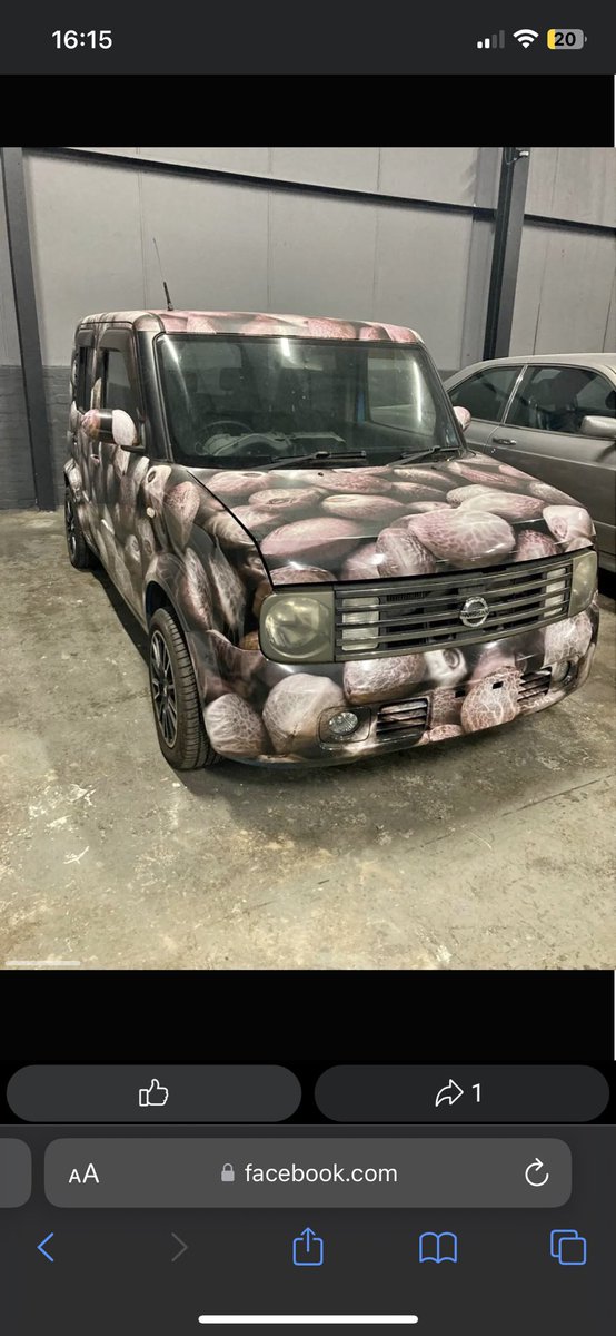 Meg Corrigan tweet media