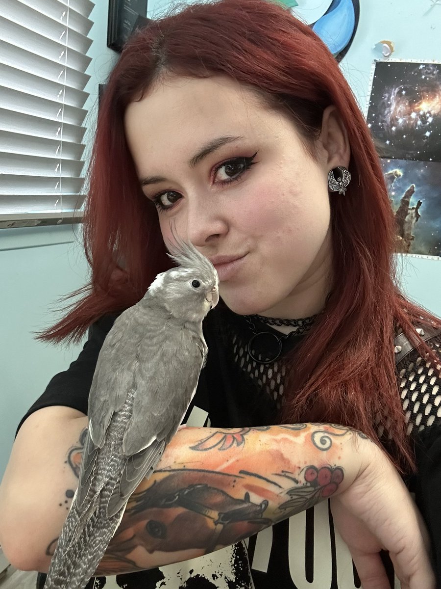freyjinn's tweet photo. I’m your local metal girl with a birb familiar https://t.co/20S0QjiTHk