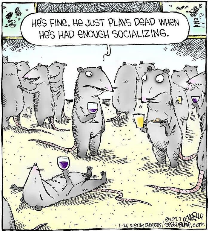 HeidiBetts's tweet image. 🤣🤣🤣
I need to remember this!
#playpossum #introverting #doingitright