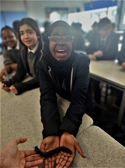 WestLondonFree's tweet photo. All Year 7s got to participate in a @wisciborg lab during #ScienceWeek and got to meet and handle a range of interesting creatures including Terry the tarantula and Polly the Python. https://t.co/H6MZp2qRIs