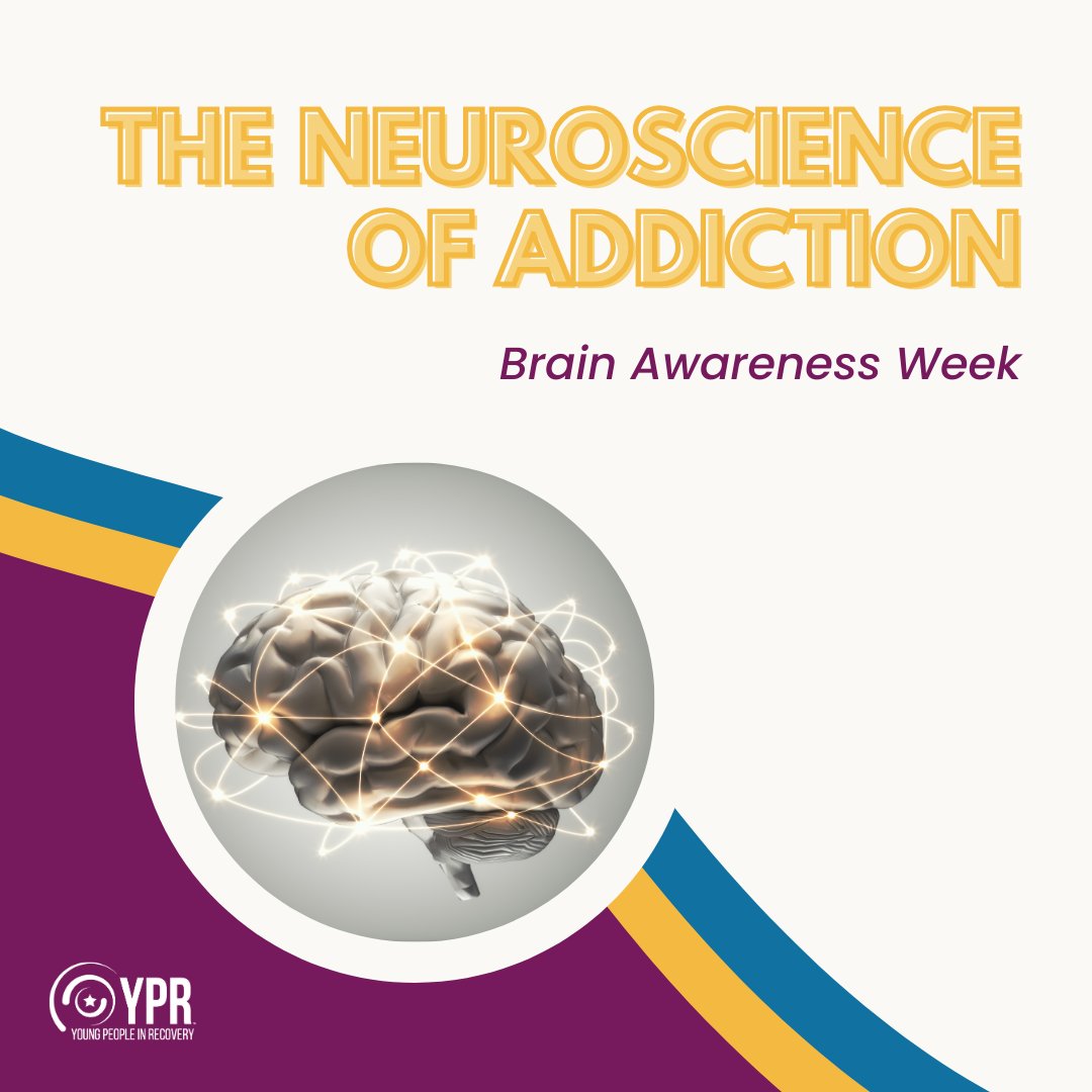 ypr_national's tweet image. How addiction impacts the brain: a thread 🧠🌟 (Source: American Journal of Psychiatry)

#BrainAwarenessWeek #neuroscienceofaddiction #addiction