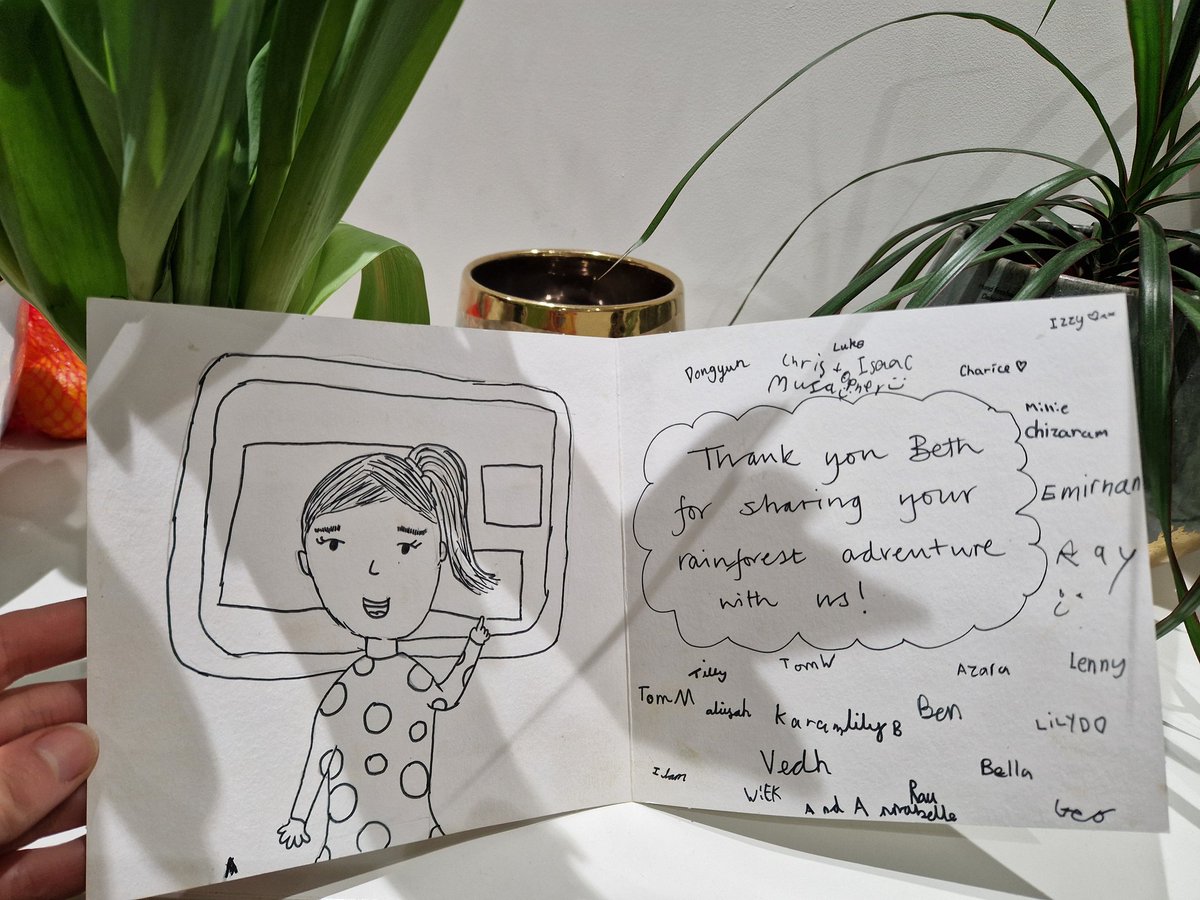 Beth Cole tweet media