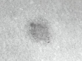 Pyrex963's tweet photo. 準備送 RNA-seq 的 samples 打翻了
單手開 2.0 的 eppendorf 從沒失敗過
但剛剛直接噴掉
心都涼了
涼了 涼了 涼了
等等還要早起上課...   X！ https://t.co/QIV6BvxLHl