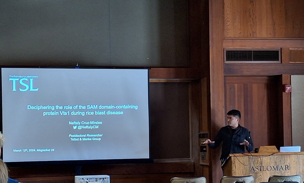 ThorstenLangner's tweet photo. Next up at #magnafest is @NeftalyCM from @TheSainsburyLab following up on his previous work on discovery phosphoproteomics with functional validation of target proteins https://t.co/VuINQohM9q
