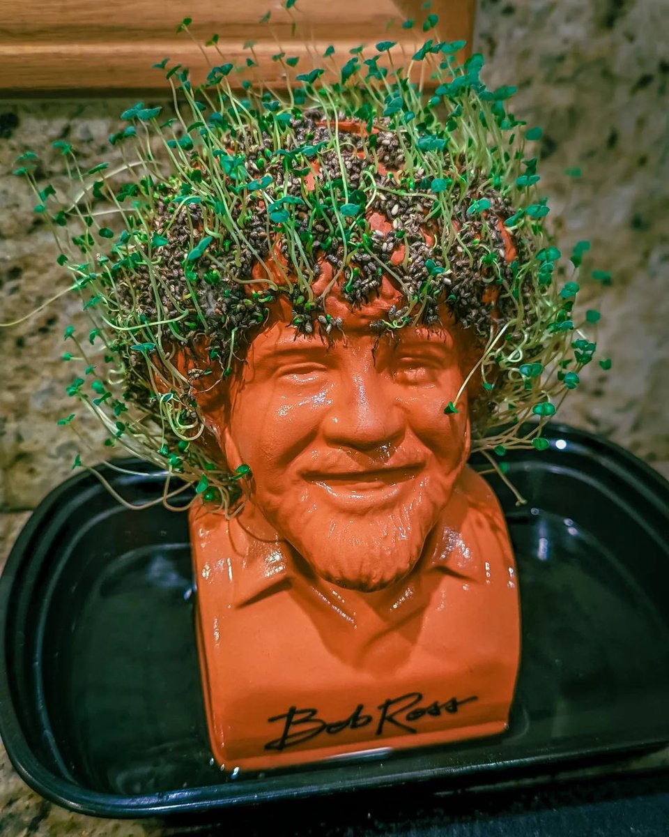 ChiaPetOfficial's tweet image. "There's nothing wrong with having a tree as a friend"- Bob Ross 🌱🎨

📸@gregskitchenkuisine (IG)

#bobross #chiapet #bobrosschiapet #bobrossfan #happyaccidents #plantlover #plantsmakepeoplehappy
