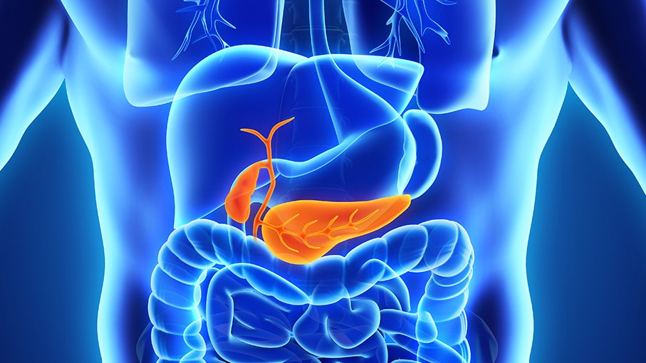 🧐Join us 3-13-24 @ 5 pm ET for <a href="/UPMC/">UPMC</a> &amp; <a href="/PittGILiverNutr/">Pitt Division of GI, Hepatology & Nutrition</a> GI Gr Rnds:  
🍃Dr. Adam Slivka: "Environmental Endoscopy Challenges: Use of Single-Use Scopes"
👊Dr. Jami Saloman: "Neuronal NRP1 Regulation of PC Anti-Tumor Immunity"   👇👇
calendar.pitt.edu/event/gi_grand…