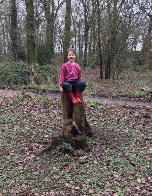 RosecliffeSpen1's tweet photo. Year 2 have been enjoying some time in the local forest for their Forest School sessions! https://t.co/qhlfbRY2xT