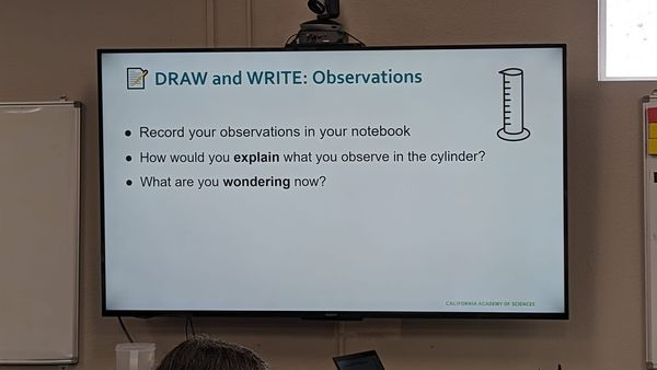 GlennCOE_CA's tweet photo. Glenn County teachers participated in a Saturday workshop hosted by our Ed. Services dept and conducted by the teacher PD team from @calacademy. The session focused on effective science teaching strategies to maximize student engagement, sensemaking, and knowledge building. https://t.co/vH3JTsdbCx