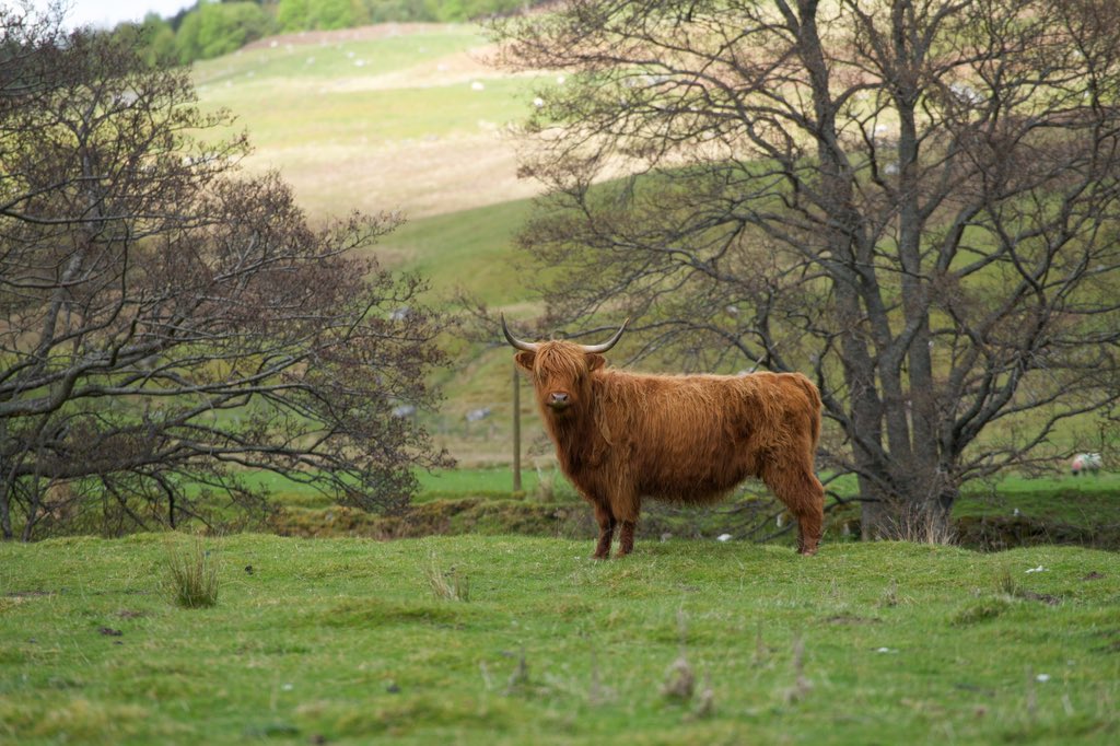 Happy #coosday everyone! What are you planning for your #rural business or enterprise this spring?