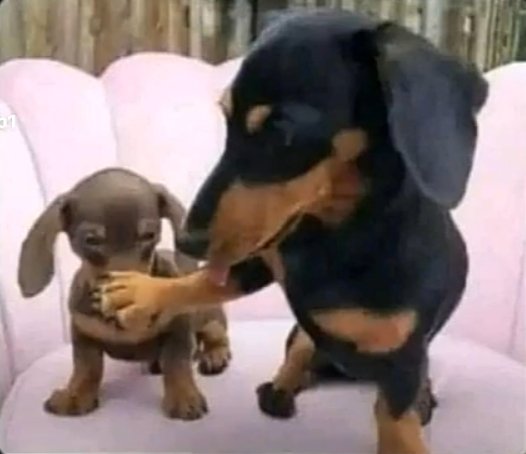 When Sir John's calls Carlvin at the mosque during pilau time 😭😂😂