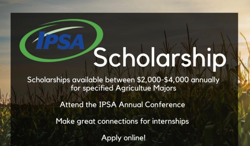 PFSScott's tweet image. The 2024 @IndieProSeed (IPSA) Scholarship Program is now open for applications.  See below 👇

ipseed.org/scholarships/