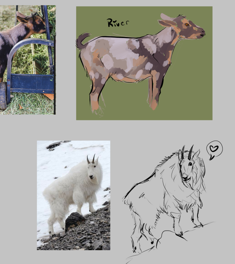 KaseySnowArt's tweet photo. Drawing sheep, and other members of the #caprinae family today for warm ups!
https://t.co/AVsGwVqubb

May sneak a few more goats in at the end for extra practice...here's some from yesterday's session!

#animals #goats #sheep #drawing https://t.co/D2sSsOB8hB
