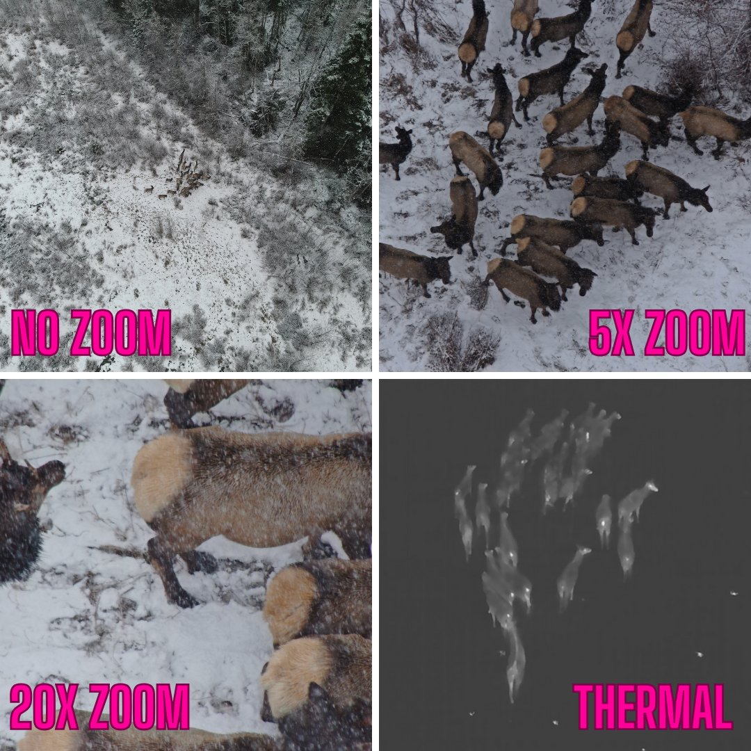 Putting our new fancy dual Zoom / Thermal camera to the test during a snowstorm.  Very impressed that we could get great imagery of this herd of Roosevelt Elk from more than 100 metre distance.   This is the camera sensor we use for assisting Search &amp; Rescue groups.