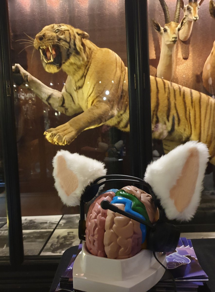 We had great fun competing with a tiger at our stand at @McrMuseum this week #ScienceWeek #BSW24 @ScienceWeekUK @PsychManchester @lizmcmanus93