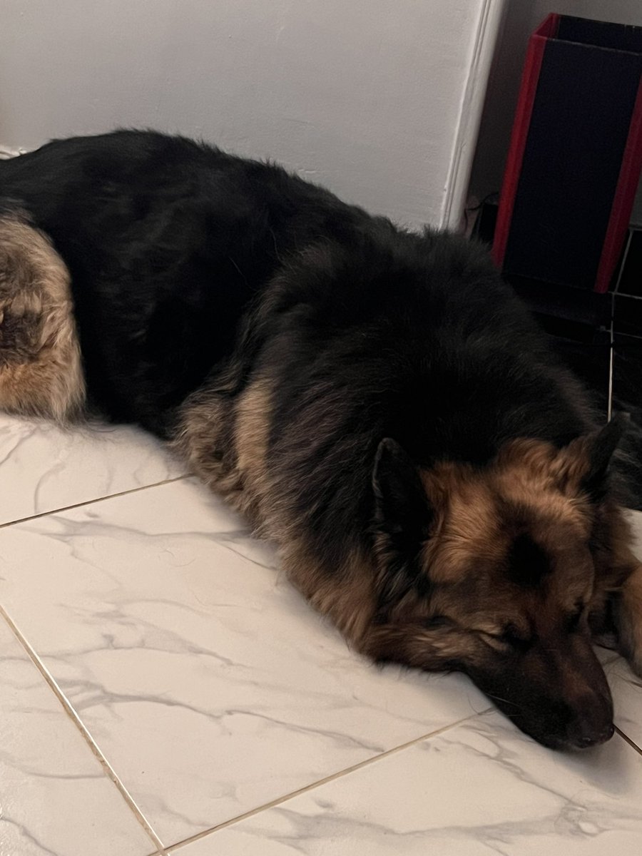 Lilly🇵🇸 tweet media