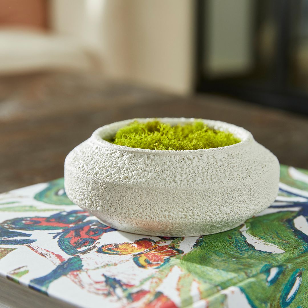 CyanDesignHome's tweet image. Elevate your everyday moments with contemporary artistry and natural aesthetics in these handcrafted bowls. 🌟 Which detail catches your eye the most? ✨ #CyanDesignHome #ThomFiliciaForCyanDesign #ThomFilicia

#CyanDesignHome #ThomFiliciaForCyanDesign #ThomFilicia