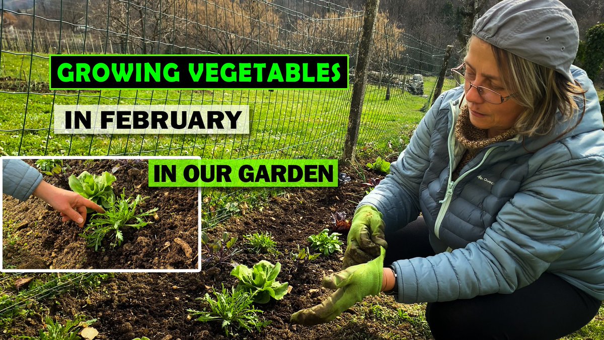 MilenRT's tweet photo. Did you know? Gardening in February is possible in Slovenia! 🌱🇸🇮 https://t.co/jx8oFkDHUO via @YouTube https://t.co/11Ko1TszYX