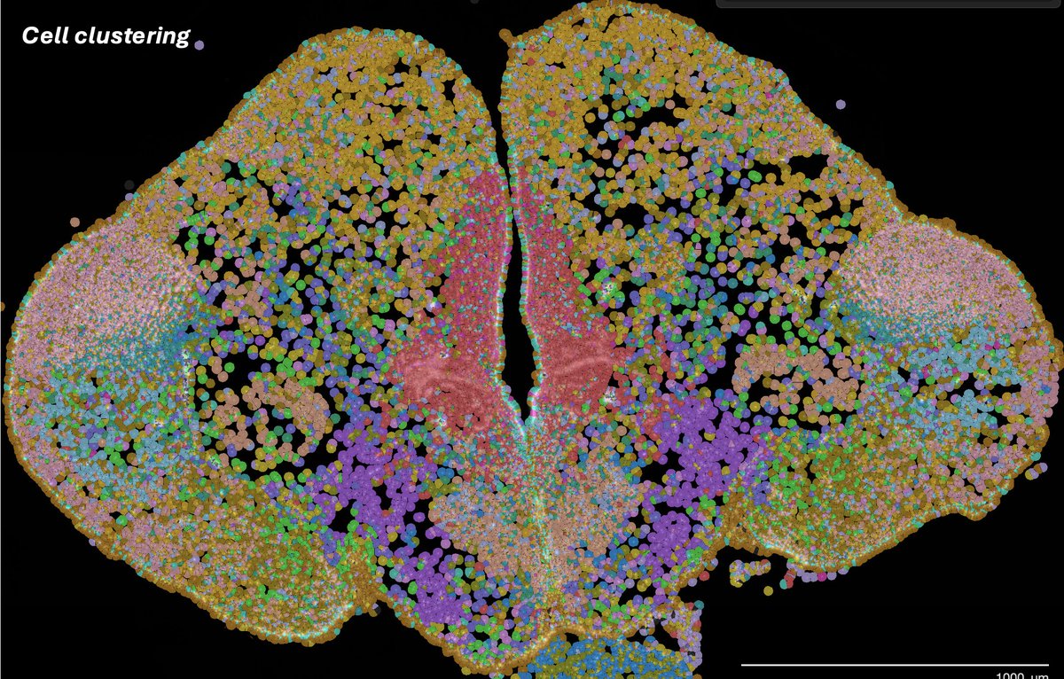 Mélanie Dussenne tweet media