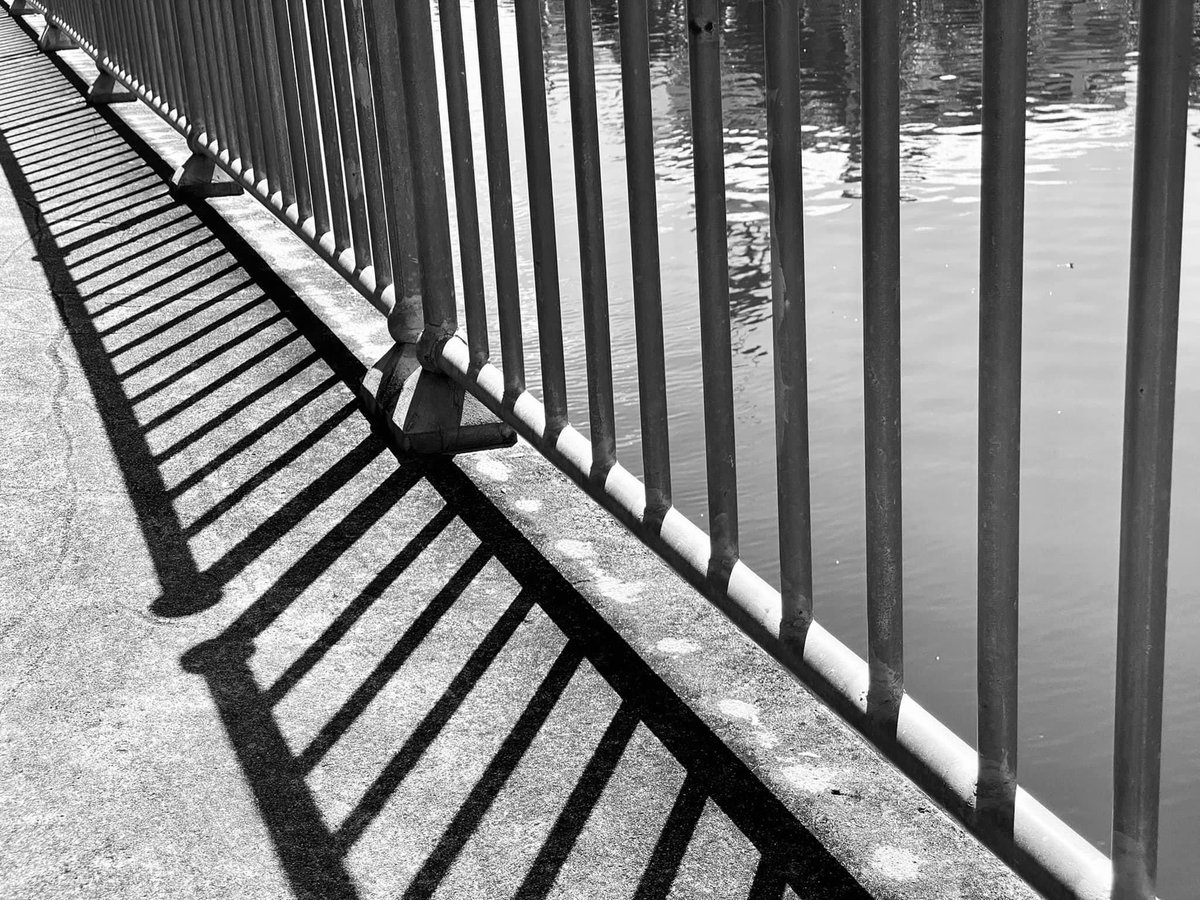 LeaMacken2531's tweet image. #ThemeOfTheWeek