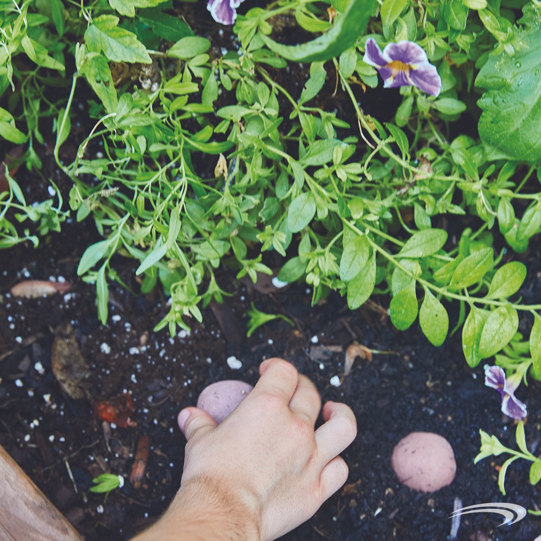 Spring and #earthday are upon us! 💐🌎Get ready with the best #ecofriendly promotional gifts for your employees or customers. DM or visit us online to check out our spring favorites: bit.ly/49yrC6F
#custommerch #brandedmerch #springmerch #seedpaper #ecopromos