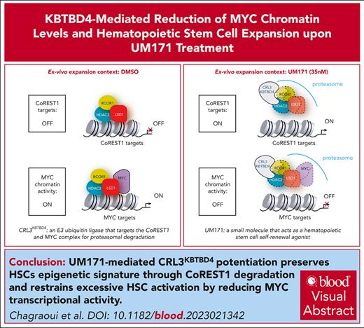 UM171 mediates concomitant CoREST/MYC degradation, which requires CUL3KBTBD4 ubiquitin ligase activation. ow.ly/7H4B50QNX9E #hematopoiesisandstemcells
