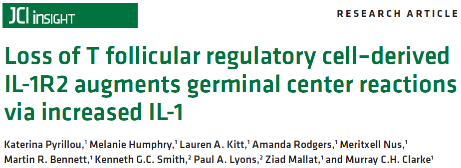 New Paper Alert! One of the longest, most traumatic projects ever - like working on a moving target at times. We got there. Thanks to all @katpyrillou, @Meri421_cam @mallat_lab, @MedCambridge, @HLRI_Cambridge and of course @TheBHF 👍👍 insight.jci.org/articles/view/…