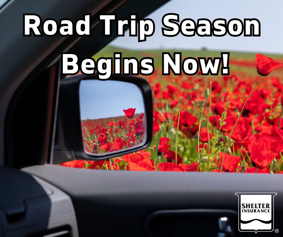 CarrieB_momof4's tweet image. Road trip season is just getting started! Prepare your ride for the journey ahead with these spring car maintenance tips. brev.is/fRiFy #ShelterInsurance #SpringCarMaintenance