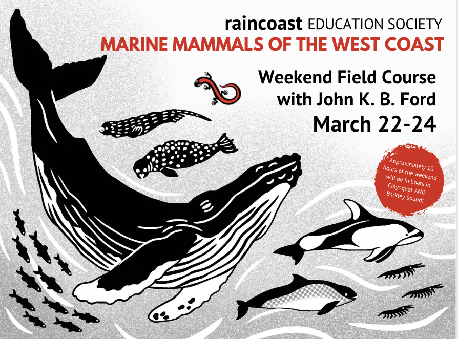 There are a few spots left on Marine Mammals of the West Coast with Dr. John K.B Ford. March 22-24!  Join us!!⁠
⁠
More info &amp; to register: raincoasteducation.org/calendar-event…