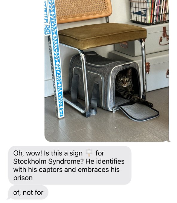 My mom babysat my cat harpo for a month and it took two days to get him in his carrier to bring him back