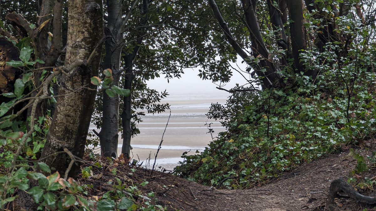 Dan Raven-Ellison tweet media