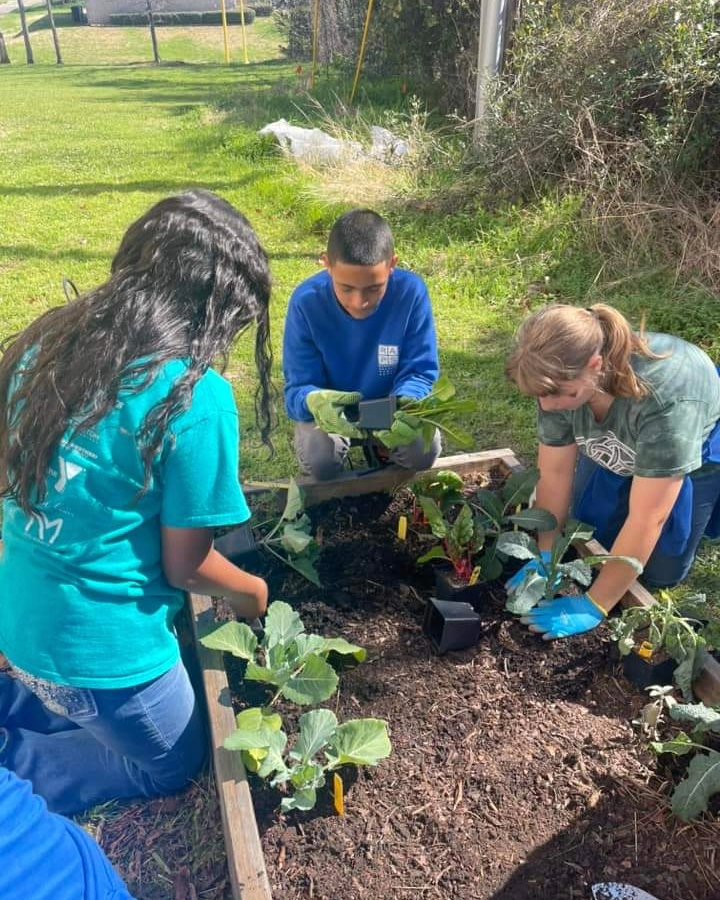 Great things are GROWING at Quinn Middle School! 🌱Our 7th graders are starting their 3rd cohort of the Learn, Grow, Eat, and Go curriculum with Better Living for Texans. We ❤️ partnering with local orgs to bring more educational opportunities to our students! #RAPSRavens