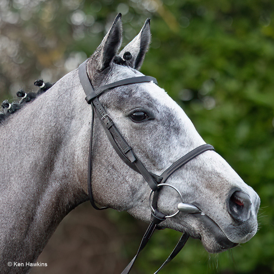 Congratulations Lossiemouth. What a grand mare she is.