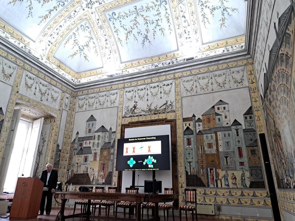 This is quite a fancy seminar room! I'm at the Royal Palace of Portici, once the summer home of the King and now part of the University of Naples @UninaIT. The artwork here is amazing! I don't think the artwork in my slides measures up...