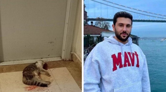 cihanozaslan's tweet photo. Bizleri yaptığın vahşetle günlerce uykusuz bıraktın.

Kendi evimizde ki kedilerimizin yüzüne bile senin acımazlığından ötürü utançtan bakamadık. 

Sokakta yaşayan hayvanlara karşı dahi kendimizi mahcup hissettik. 

Sana hiç bir zararı olmayan Eros’a 6 dakika boyunca işkence edip, şimdi yaptığın bu katliamdan utanmadan yaptığın 15 kilo mama bağışıyla yırtacağını mı zannediyorsun. 

Oğlum İbrahim, 
Yaptığın her hareket öfkemizi arttırıyor. 

Cezaevinde olman, dışarıda olmandan daha hayırlı senin için.  

Tutuklanacaksın İbrahim. 
Eros’a yaptığın zulmün bedelini hukuk önünde ödeyeceksin. 

#ibrahimkeloğlantutuklansın