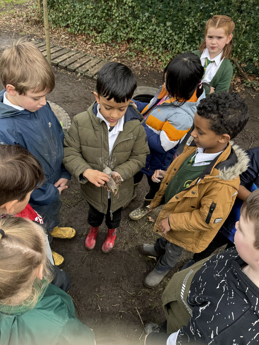 #Year3Elder had some visitors at Forest School this morning as they created their own Woodland Whatsit creatures using natural resources and a little bit of imagination! #FirsForestSchool