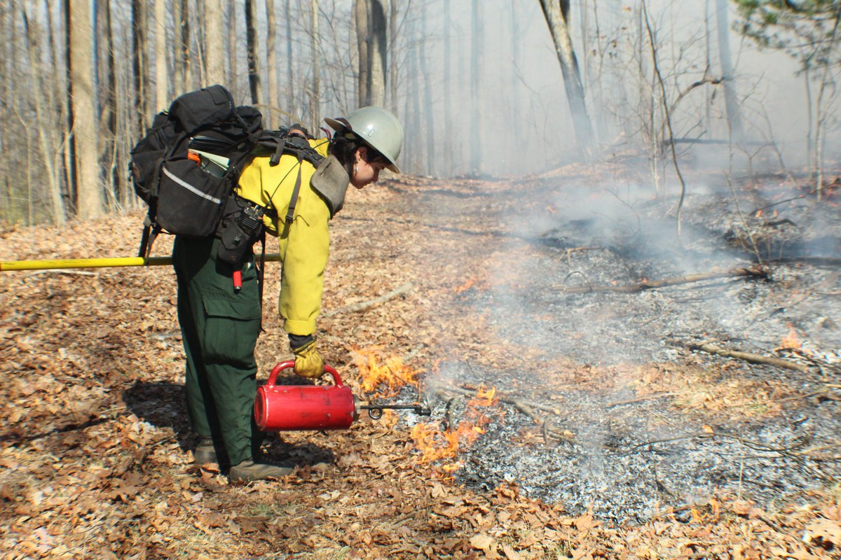 Greenville Water, in partnership with the South Carolina Forestry Commission (SCFC) and The Nature Conservancy (TNC), will  execute a prescribed fire spanning 100 acres on Hogback Mountain Wednesday, March 13.
greenvillewater.com/news/greenvill…