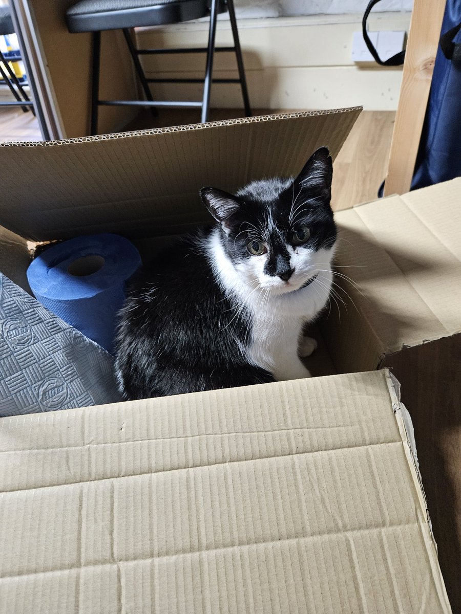 Today was a box kind of day. Packing Outdoor First Aid Kits, D of E kits and supplies for Ukraine @highpeakfirstaid #firstaid #firstaidkits #ukraine #DofE