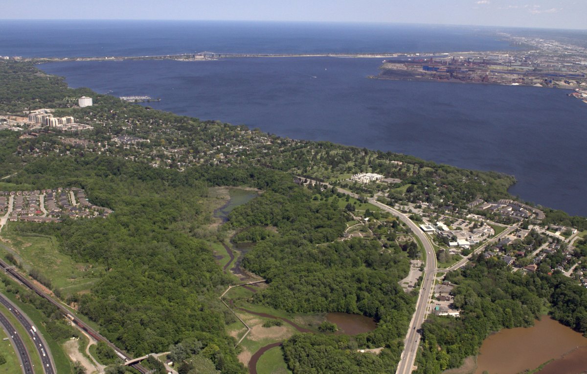 Canada Water Agency (@wateragencycan) on Twitter photo With funding from the #GreatLakes Freshwater Ecosystem Initiative, the #GoC is supporting <a href="/ConservHalton/">Conservation Halton</a> in local initiatives that will improve the health of the Hamilton Harbour #AreaOfConcern!
Learn more: canada.ca/en/environment… With funding from the #GreatLakes Freshwater Ecosystem Initiative, the #GoC is supporting <a href="/ConservHalton/">Conservation Halton</a> in local initiatives that will improve the health of the Hamilton Harbour #AreaOfConcern!
Learn more: canada.ca/en/environment…