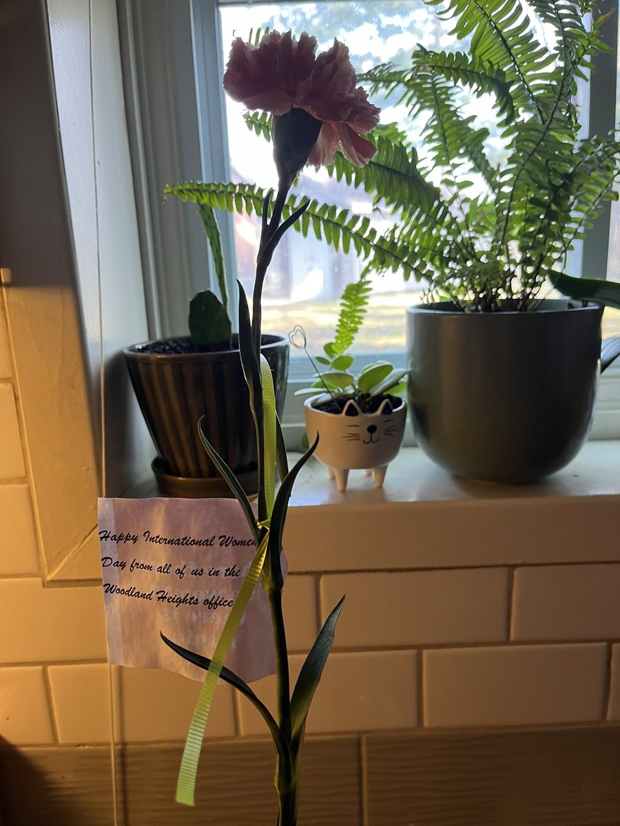 So grateful to have completed my first LTO in Grade 5/6 at <a href="/woodheightsps/">Woodland Heights PS</a> Thanks for a great experience! 😊