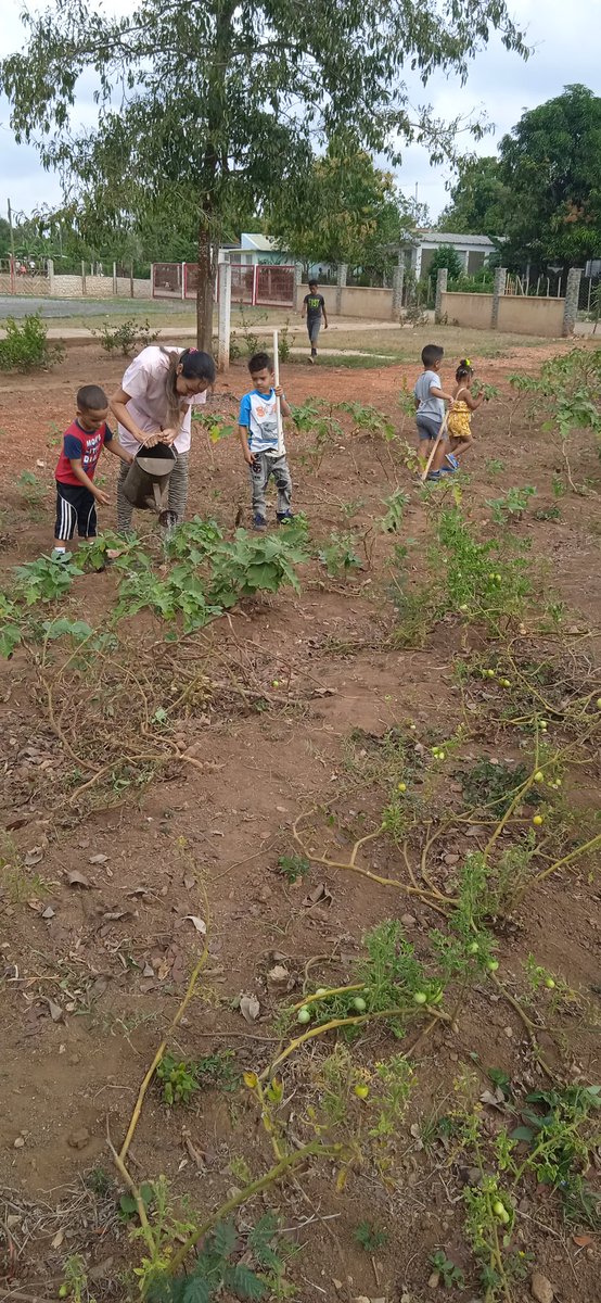 DouglasNorka's tweet photo. La estimulación desde las edades mas temprana por el amor a la naturaleza y las plantas, es prioridad de la casita infantil Pequeños Titanes en el consejo popular Baraguá. #LaPrimeraInfanciaSiImpirta #dmeMella #dpeSantiago @RaulSamon @MellaAsamblea  @chacon_zuzel https://t.co/wfFPOLu879