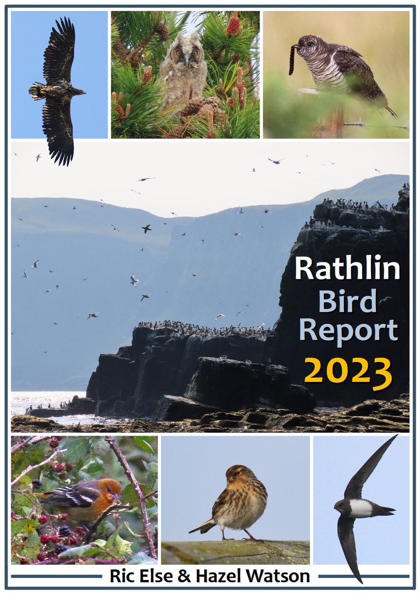 🎉 The 2023 Rathlin Bird Report is here- what a year! It's another bumper issue covering all 163 species seen, 4 new additions, an unprecedented eagle extravaganza, PLUS a special section on population estimates for all the island's breeding species 🤓 rathlinstickybeak.wordpress.com/2024/03/12/rat…