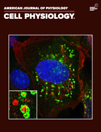 American Physiological Society (@apsphysiology) on Twitter photo .<a href="/AJPCellPhys/">AJP-Cell Physiology</a> #APSselect study suggests cocoa flavanols activate pathway that increases antioxidant proteins & protects people w/#PAD from muscle damage. Activation may be important target to help people with #PAD walk better: ow.ly/Jy9R50QLJKo CC: <a href="/AhmedIsmaeelPhD/">Ahmed Ismaeel</a>, <a href="/UKYCMB/">UKY Center for Muscle Biology</a> .<a href="/AJPCellPhys/">AJP-Cell Physiology</a> #APSselect study suggests cocoa flavanols activate pathway that increases antioxidant proteins & protects people w/#PAD from muscle damage. Activation may be important target to help people with #PAD walk better: ow.ly/Jy9R50QLJKo CC: <a href="/AhmedIsmaeelPhD/">Ahmed Ismaeel</a>, <a href="/UKYCMB/">UKY Center for Muscle Biology</a>