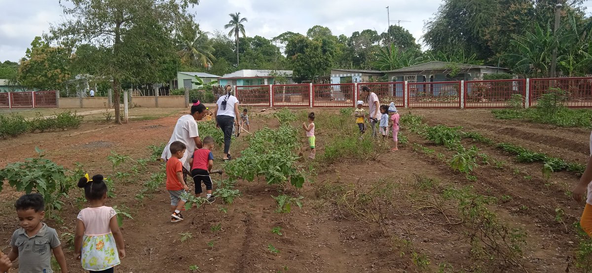 DouglasNorka's tweet photo. La estimulación desde las edades mas temprana por el amor a la naturaleza y las plantas, es prioridad de la casita infantil Pequeños Titanes en el consejo popular Baraguá. #LaPrimeraInfanciaSiImpirta #dmeMella #dpeSantiago @RaulSamon @MellaAsamblea  @chacon_zuzel https://t.co/wfFPOLu879
